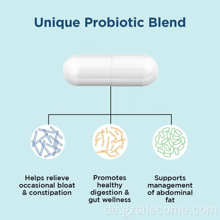 Präbiotika Kapseln Menopause Joint Support